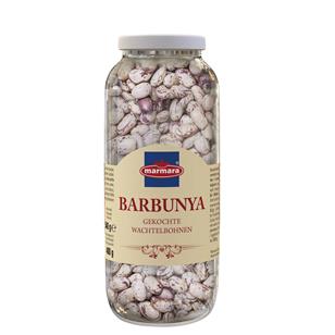 Barbunya